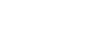 Calinz and the drive to do it - thedrivetodoit white logo