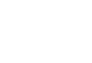 Olympic Gym and the drive to do it - thedrivetodoit white logo